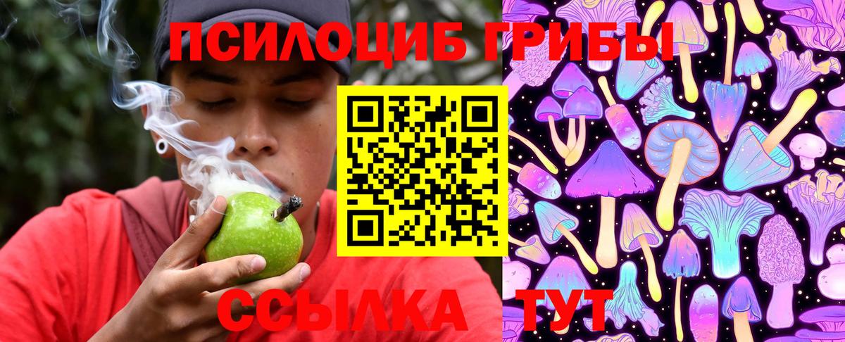 Волжск  Псилоцибиновые грибы прущие грибы  Галлюциногенные грибы мицелий  Вход с VPN 